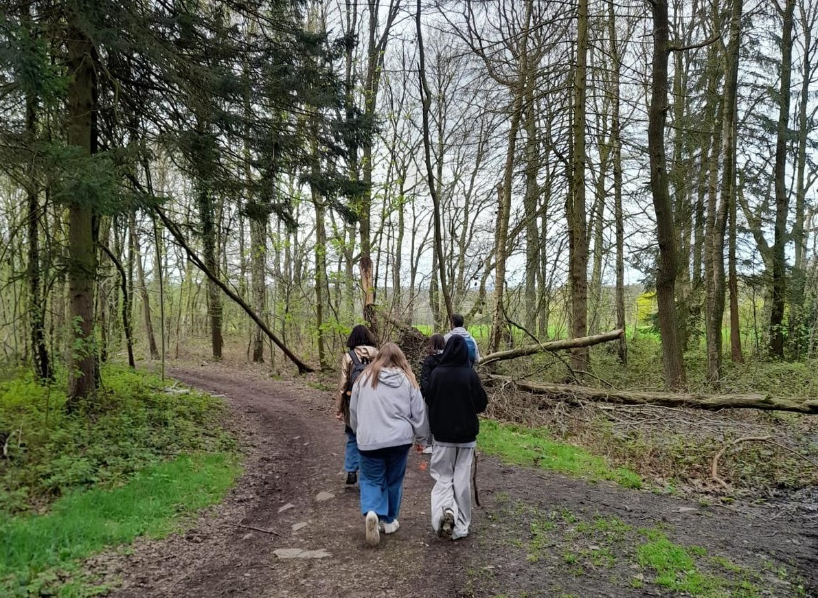 Sortie en forêt