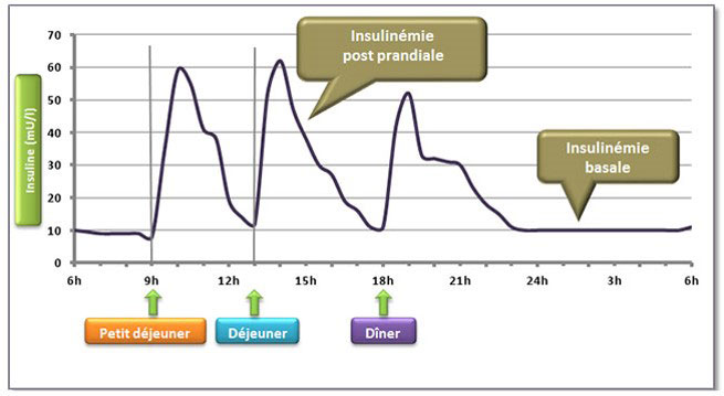 insuline2w.jpg