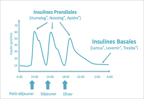 insuline.jpg