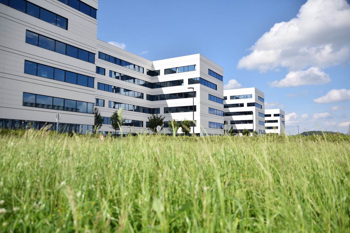 Le Groupe santé CHC prend soin de la biodiversité
