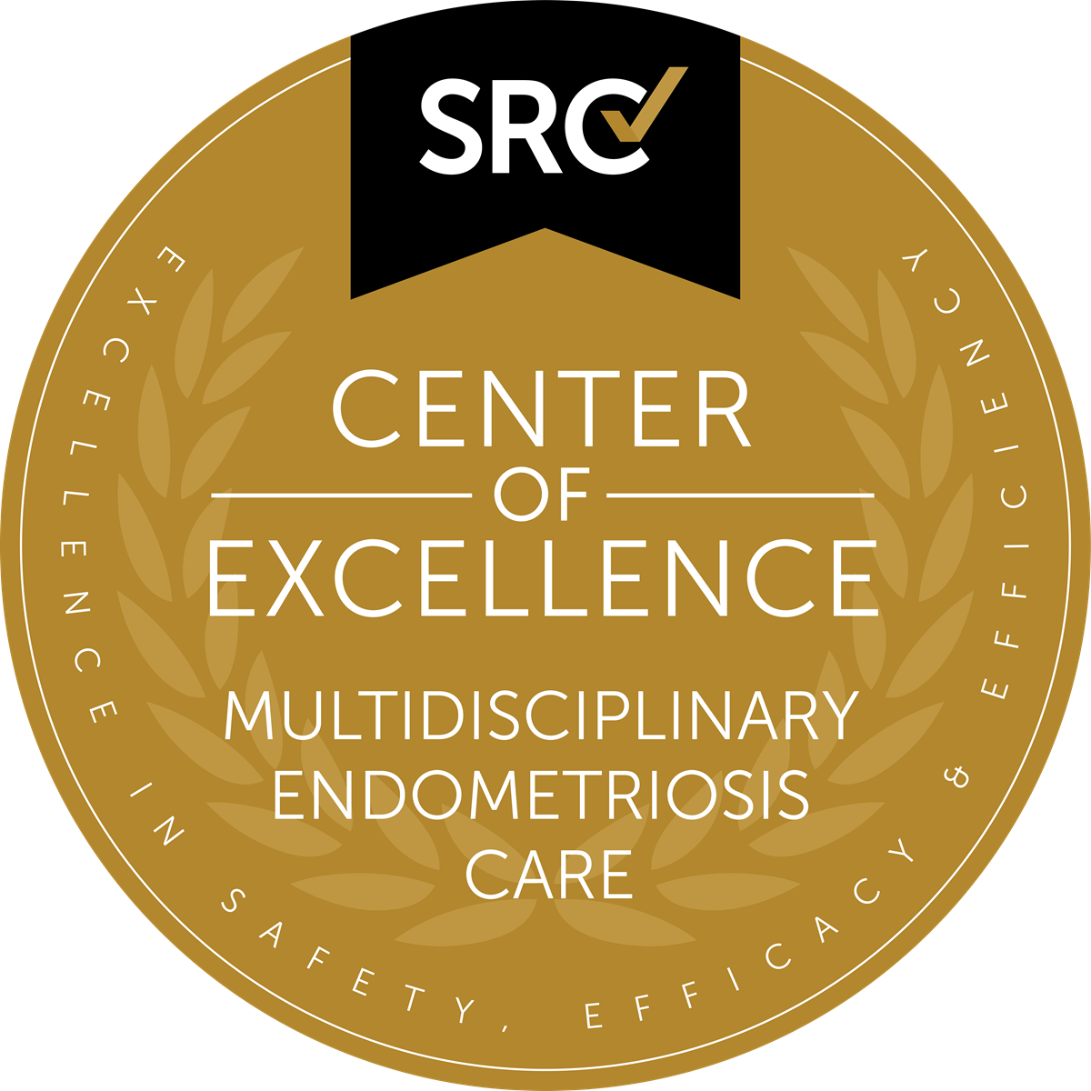 Le centre liégeois de l’endométriose (CLE) certifié centre d’excellence